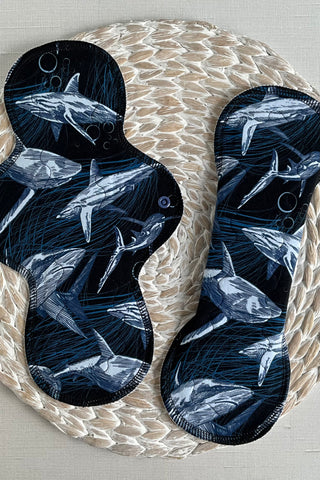 Cotton Knit Blend - Shark Attack